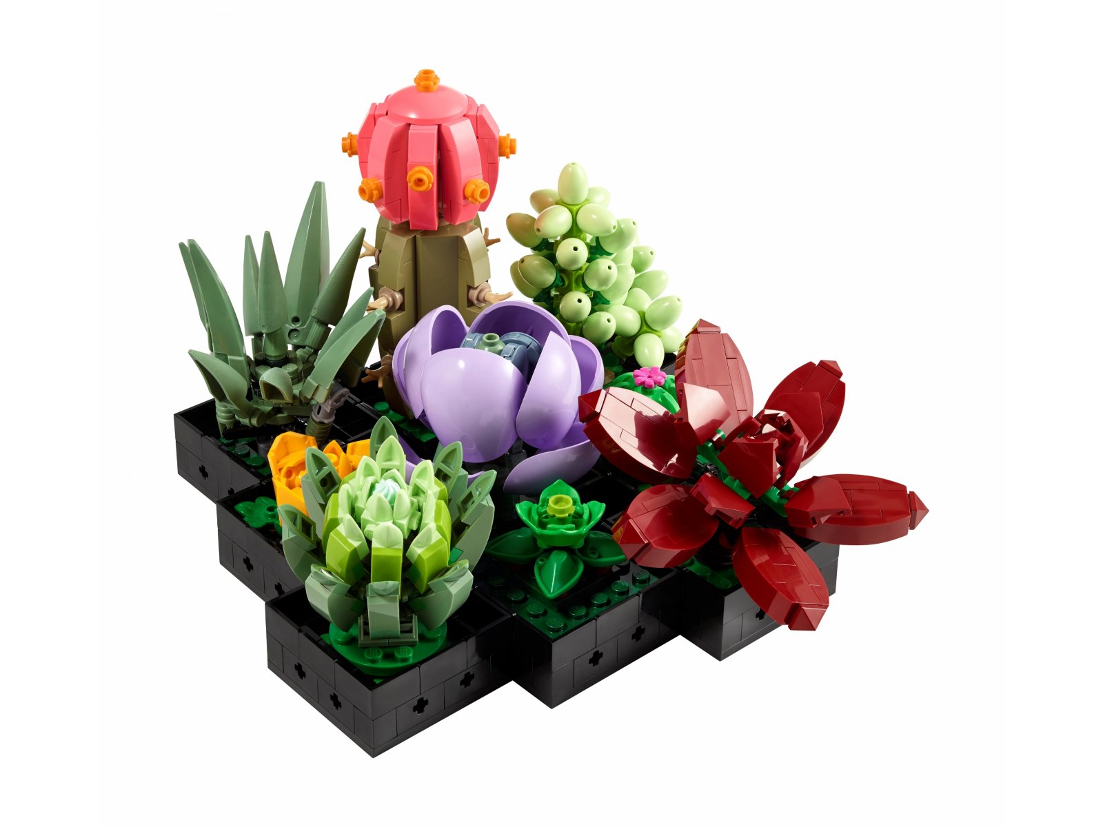 LEGO 10309 Sukulenty