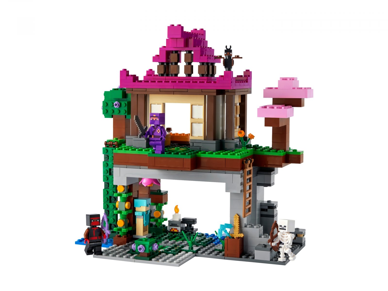 LEGO 21183 Teren szkoleniowy