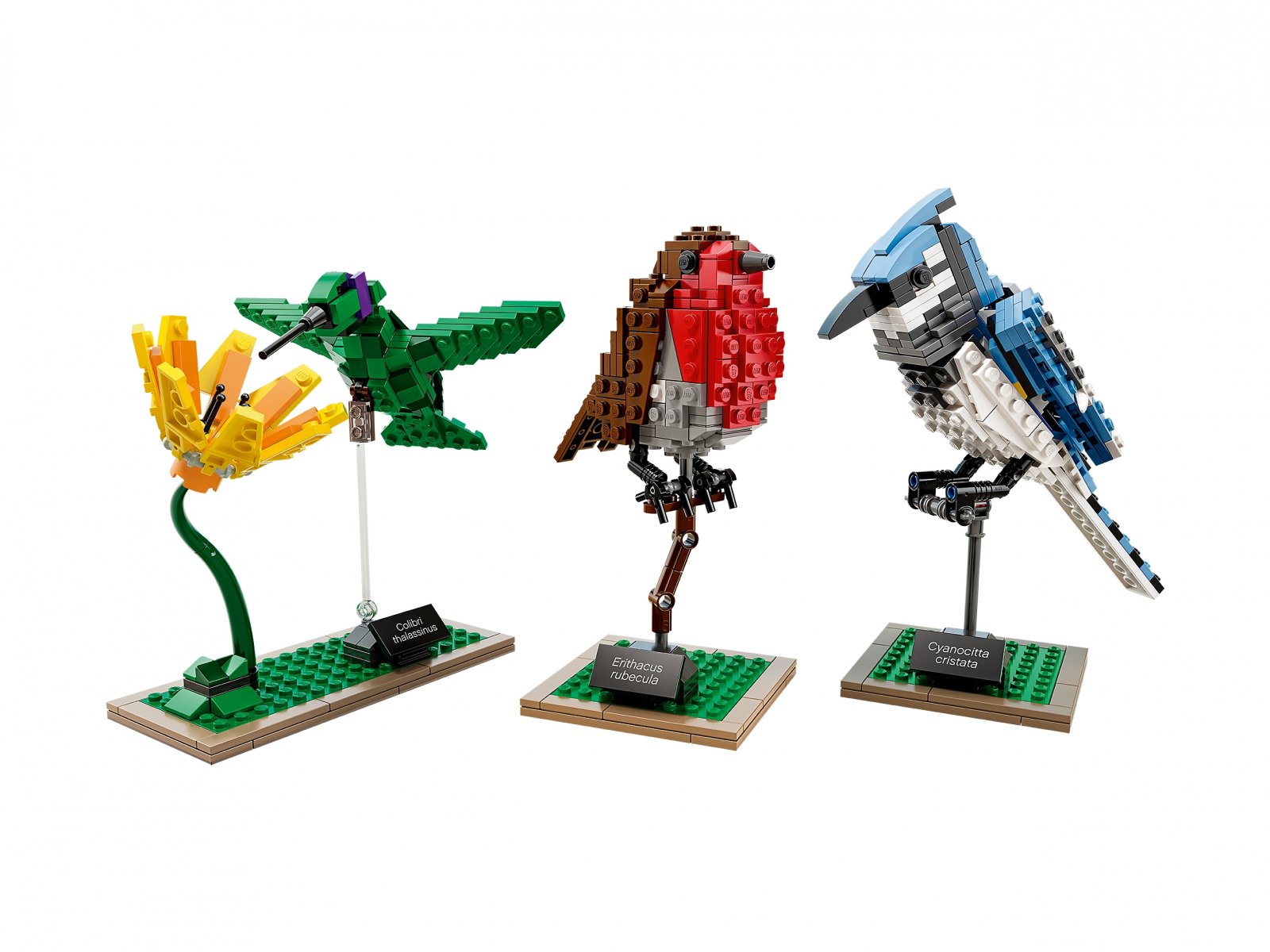 LEGO 21301 Ptaki