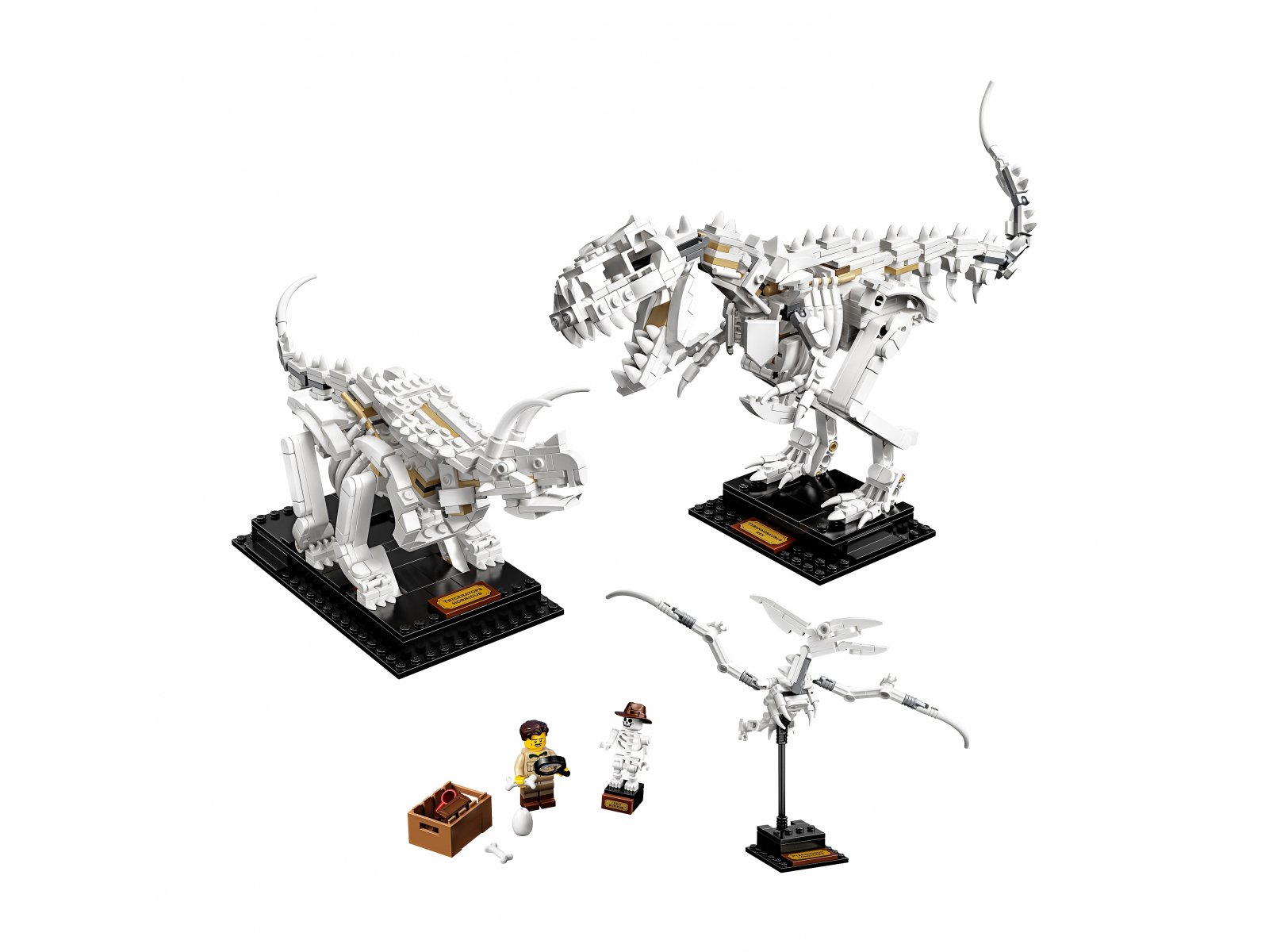 LEGO 21320 Szkielety dinozaurów