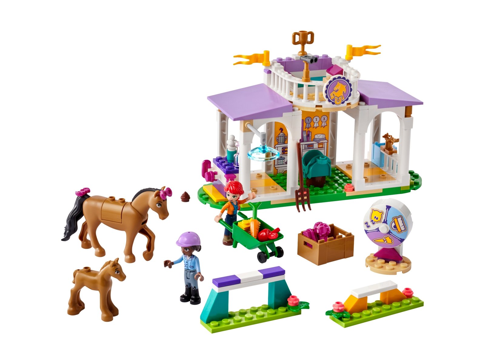 LEGO 41746 Szkolenie koni
